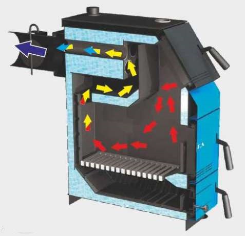 ����� zota