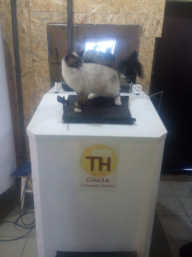 ����� Glaz